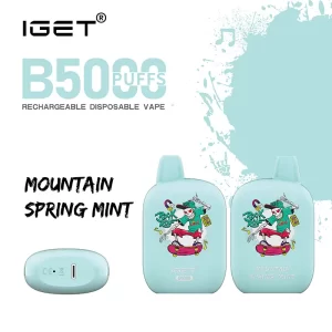 IGET B5000 Rechargeable Vape Mountain Spring Mint