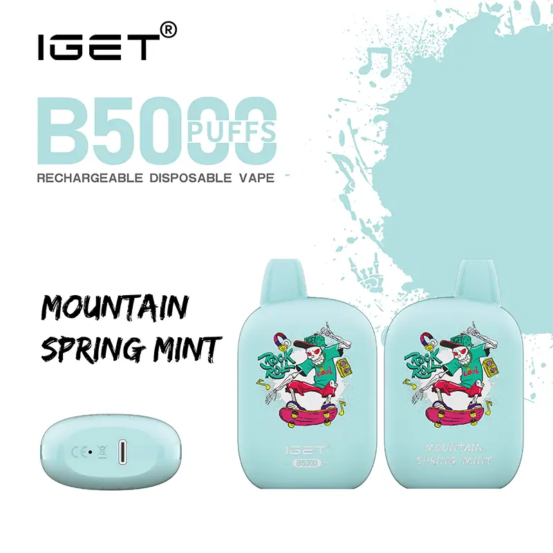 IGET B5000 Rechargeable Vape Mountain Spring Mint
