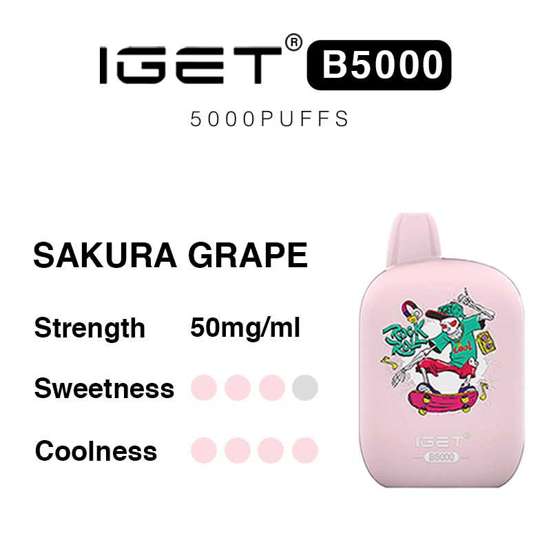 IGET B5000 Rechargeable Vape Device Sakura Grape 5000 Puffs